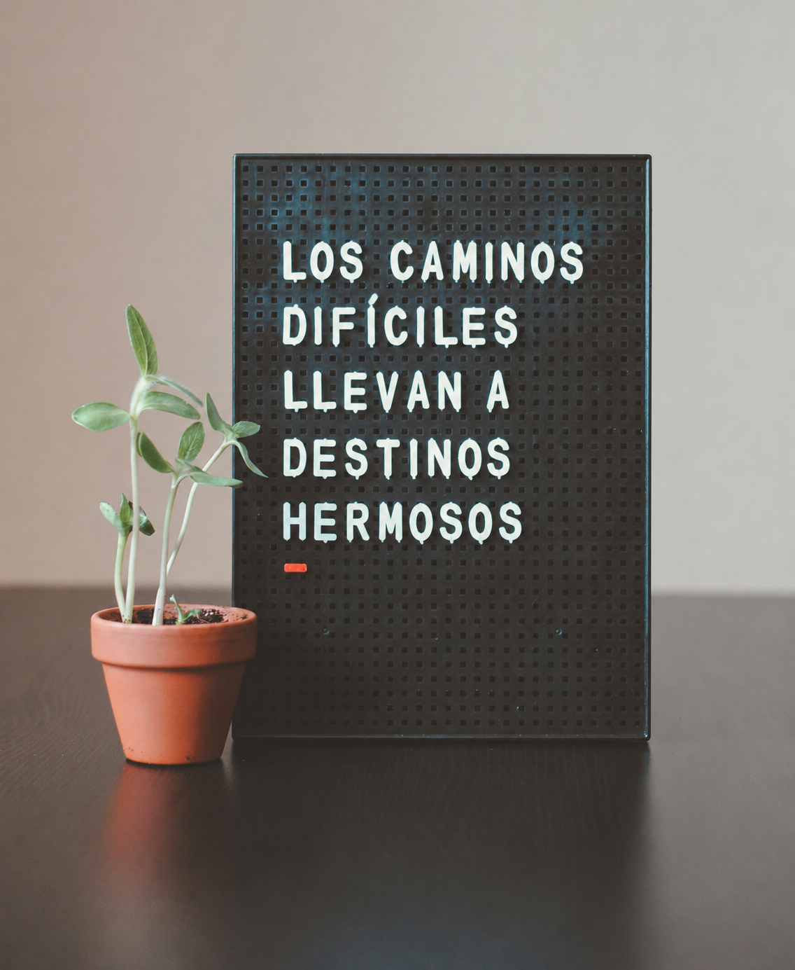 Los caminos difíciles llevan a destinos hermosos